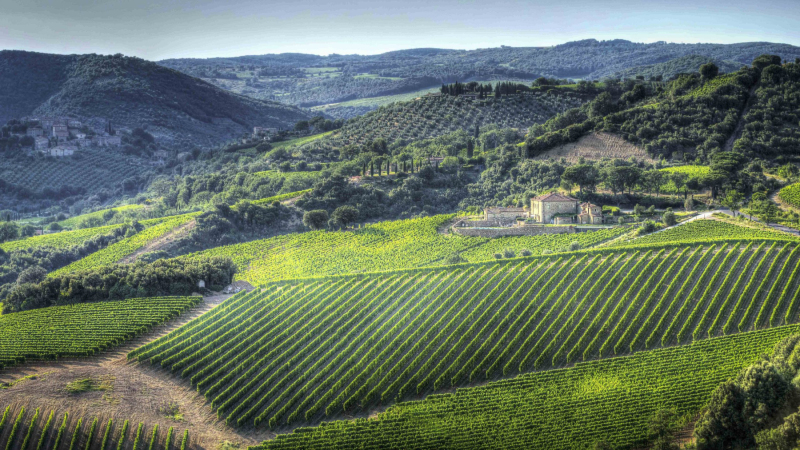 wineries-2-scaled