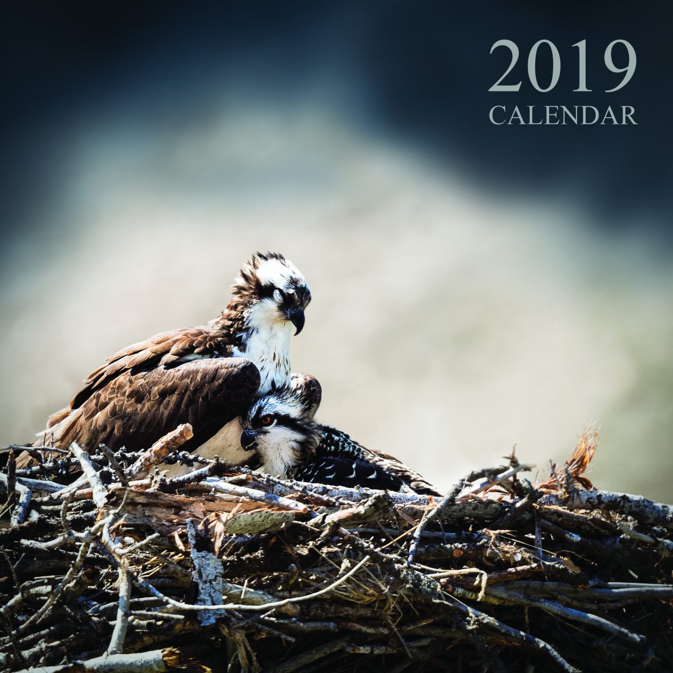 2019_calendar_12x12